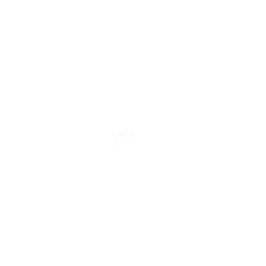 Pabrik Powder
